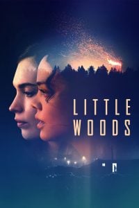 دانلود فیلم Little Woods 2018 دوبله فارسی